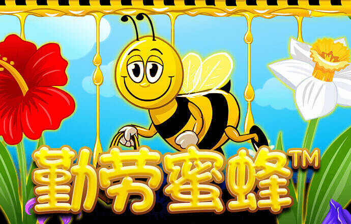 9094体育官网